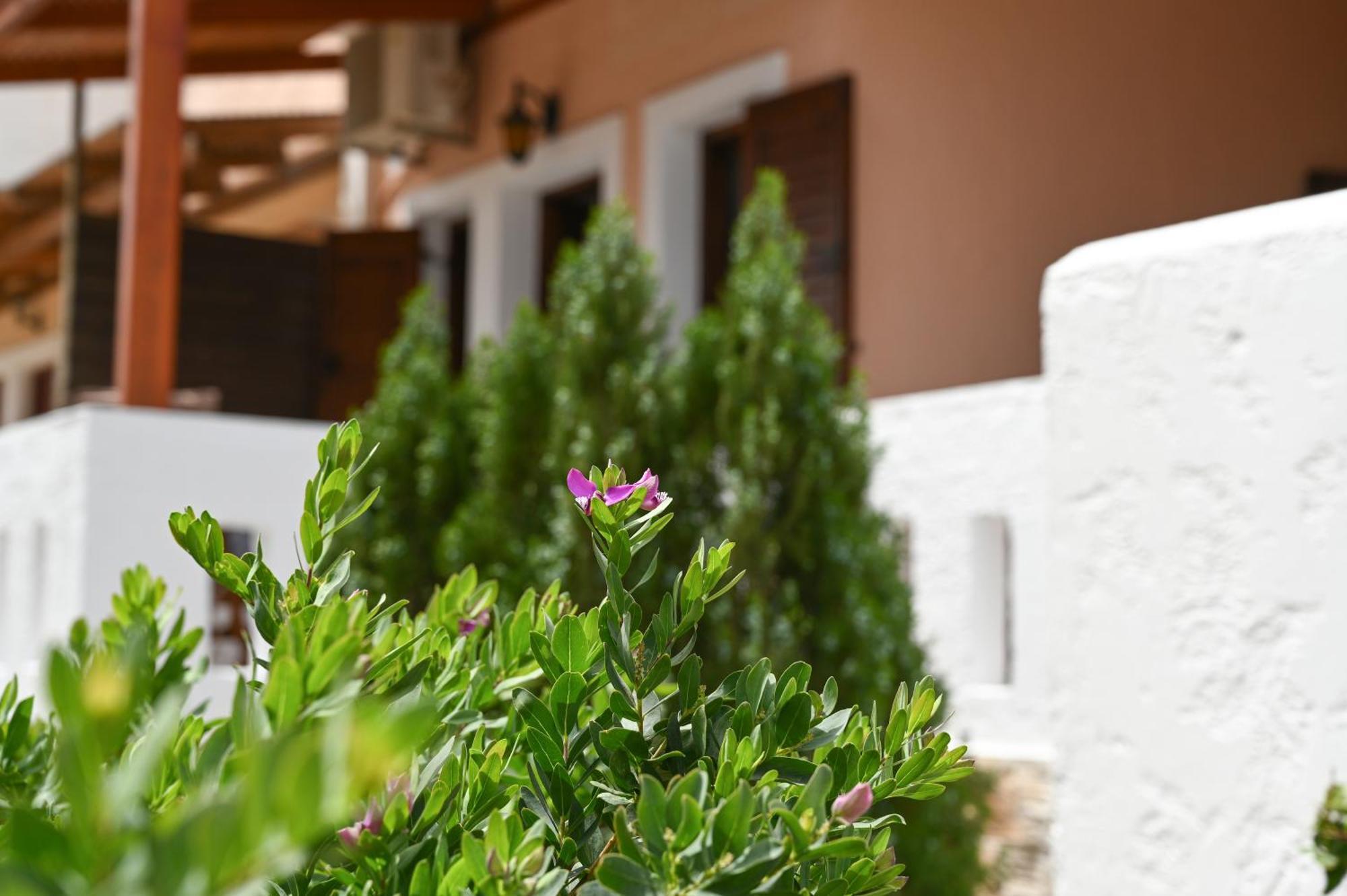 Garden House Xerokampos Apartment Xerokampos  Luaran gambar